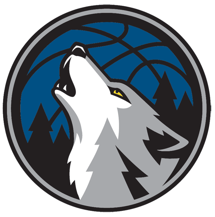 Minnesota Timberwolves 2008-2017 Alternate Logo iron on transfers for clothing version 2